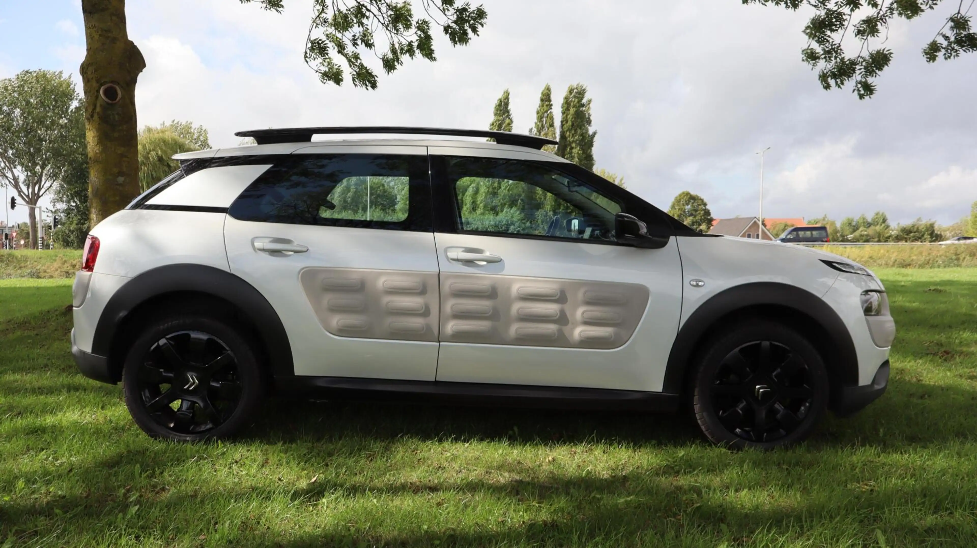 Citroen C4 Cactus 1.2 PureTech Business — photo 4