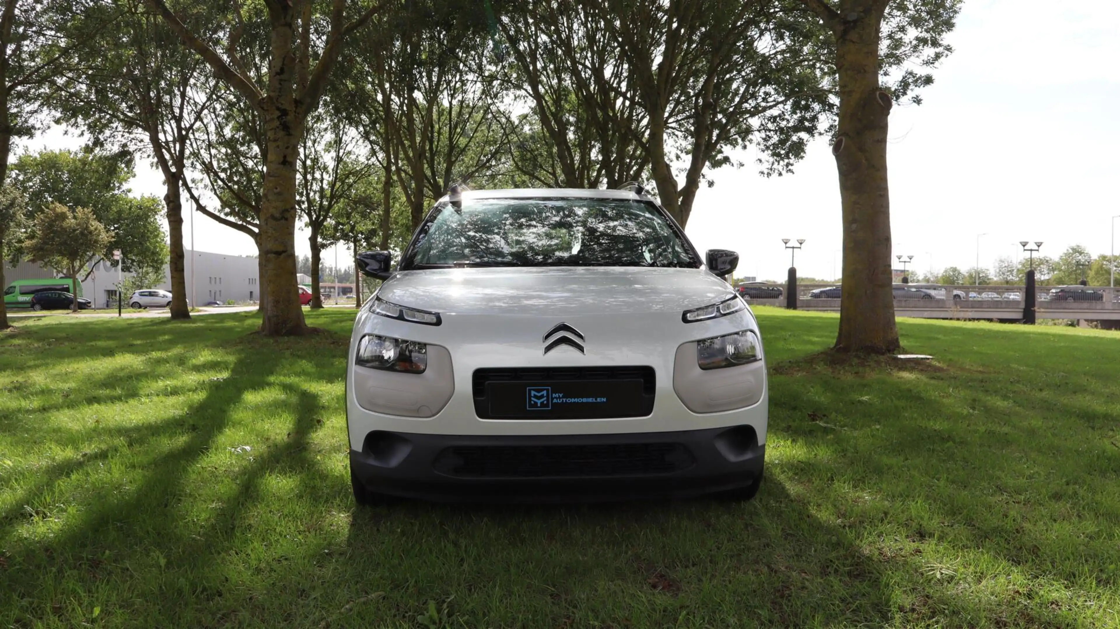 Citroen C4 Cactus 1.2 PureTech Business — photo 2