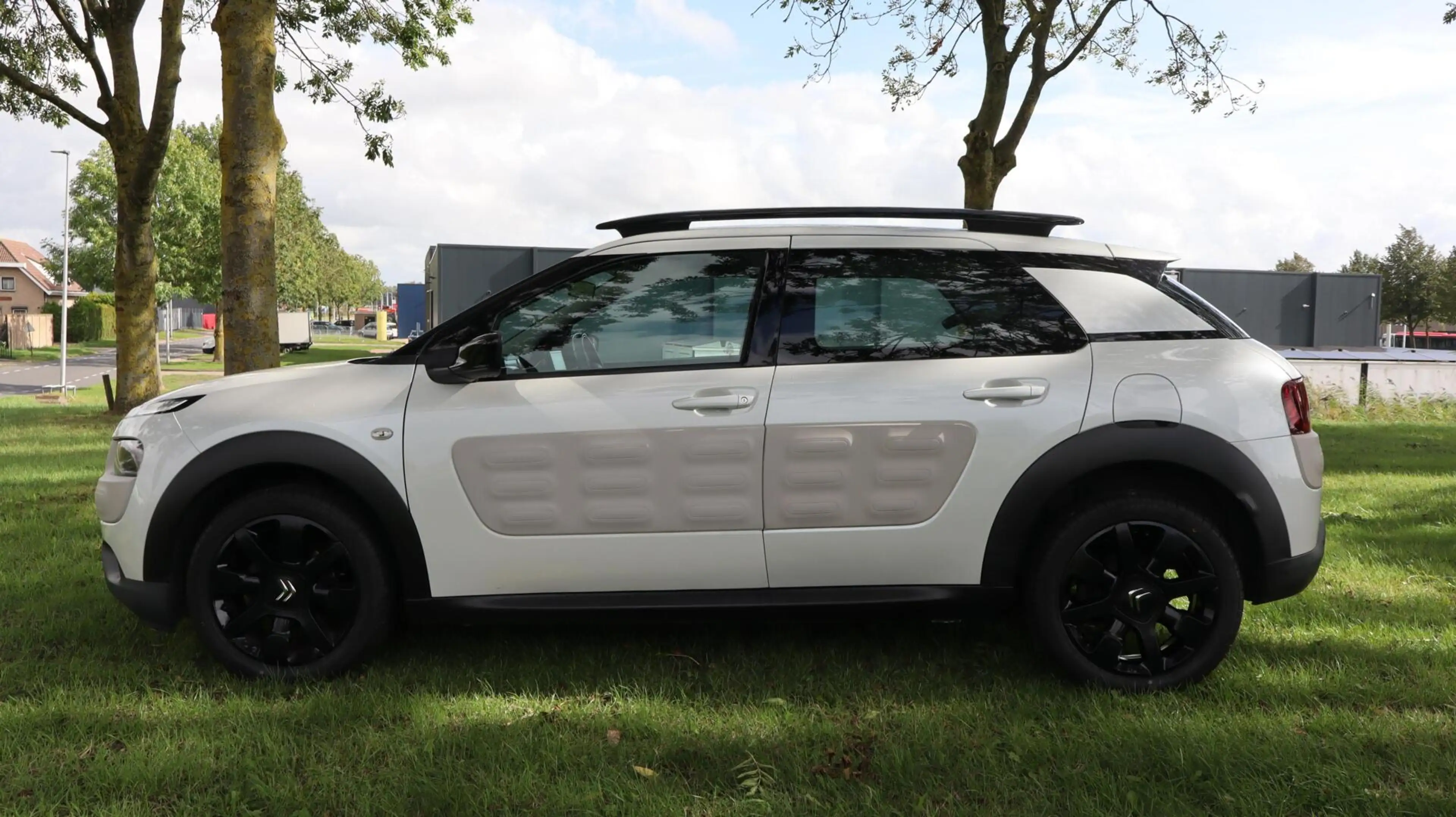 Citroen C4 Cactus 1.2 PureTech Business — photo 8