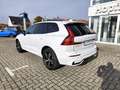 Volvo XC60 B4 Diesel  AWD Aut. ACC AHK Standhzg. Blanc - thumbnail 3