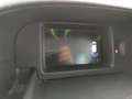 Renault Kangoo 1.5 dCi 90CV 5 porte S&S Limited Noir - thumbnail 15