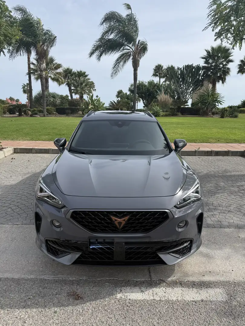 CUPRA Formentor VZ 2.0 TSI 4Drive DSG - 1