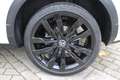 Volkswagen T-Roc Sport 2.0 TDI R-line 4Motion DSG RFK Weiß - thumbnail 12