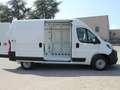 Fiat Ducato 2.2 Mjet 140cv 35 Q.li L2H2 SERIE 2 Bianco - thumbnail 6
