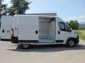 Fiat Ducato 2.2 Mjet 140cv 35 Q.li L2H2 SERIE 2 Bianco - thumbnail 5