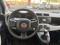 Fiat Panda 1.3 mjt 16v Easy 75cv Beige - thumbnail 16