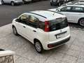 Fiat Panda 1.3 mjt 16v Easy 75cv Beige - thumbnail 3