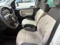 Fiat Panda 1.3 mjt 16v Easy 75cv Beige - thumbnail 12