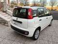Fiat Panda 1.3 mjt 16v Easy 75cv Beige - thumbnail 7