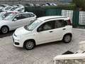 Fiat Panda 1.3 mjt 16v Easy 75cv Beige - thumbnail 4