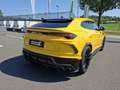 Lamborghini Urus AWD * MWST AUSWEISBAR ! Gelb - thumbnail 10