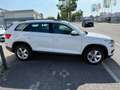 Skoda Kodiaq 2,0 TDI Ambition 4x4 Kamera FINANZIERUNG Weiß - thumbnail 4