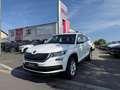 Skoda Kodiaq 2,0 TDI Ambition 4x4 Kamera FINANZIERUNG Weiß - thumbnail 1