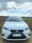 Lexus CT 200h CT 200h Weiß - thumbnail 1