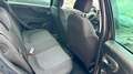 Fiat Punto 1.2 Benzina  69CV EURO6 5P Street + Neopatentato Nero - thumbnail 14