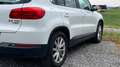 Volkswagen Tiguan Trend 2,0 TDI, AHK Weiß - thumbnail 5