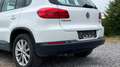 Volkswagen Tiguan Trend 2,0 TDI, AHK Weiß - thumbnail 19