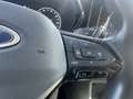 Ford Tourneo Connect Grand Tourneo Connect 2.0 EcoBlue 122 CV AWD Tita Grau - thumbnail 16