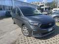 Ford Tourneo Connect Grand Tourneo Connect 2.0 EcoBlue 122 CV AWD Tita Grau - thumbnail 4
