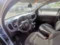 Fiat Panda Panda 1.2 69cv Easy Grigio - thumbnail 13