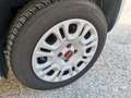 Fiat Panda Panda 1.2 69cv Easy Grigio - thumbnail 9