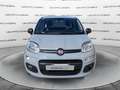 Fiat Panda Panda 1.2 69cv Easy Grigio - thumbnail 3