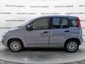 Fiat Panda Panda 1.2 69cv Easy Grigio - thumbnail 5