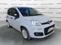 Fiat Panda Panda 1.2 69cv Easy Grigio - thumbnail 4