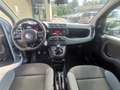 Fiat Panda Panda 1.2 69cv Easy Gris - thumbnail 16