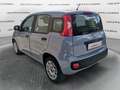 Fiat Panda Panda 1.2 69cv Easy Grigio - thumbnail 7