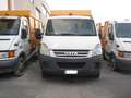 Iveco Daily 50C13 Vasca Ribaltabile RSU Bianco - thumbnail 3