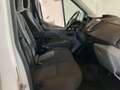 Ford Transit 350 L2 Trend *ALLRAD* Weiß - thumbnail 4