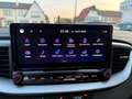 Kia Ceed / cee'd HB 1.0 T-GDI 100PK BLACK/PACK 7J/GAR NIEUW 0KM Groen - thumbnail 12