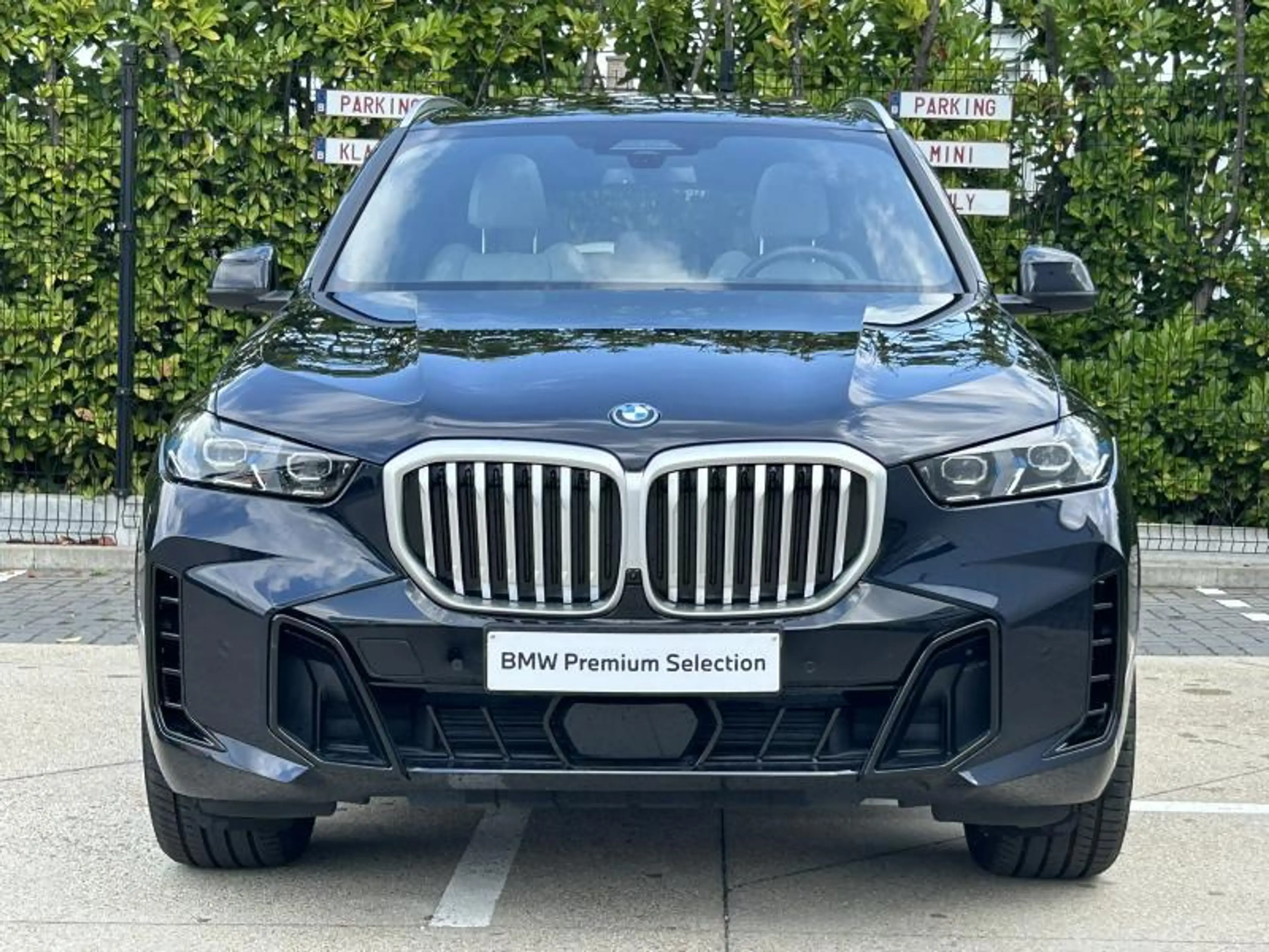 BMW X5 xD50e — photo 2