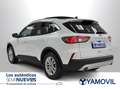 Ford Kuga 2.5 Duratec FHEV Titanium AWD Aut. Blanco - thumbnail 4