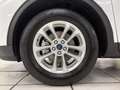 Ford Kuga 2.5 Duratec FHEV Titanium AWD Aut. Blanco - thumbnail 6