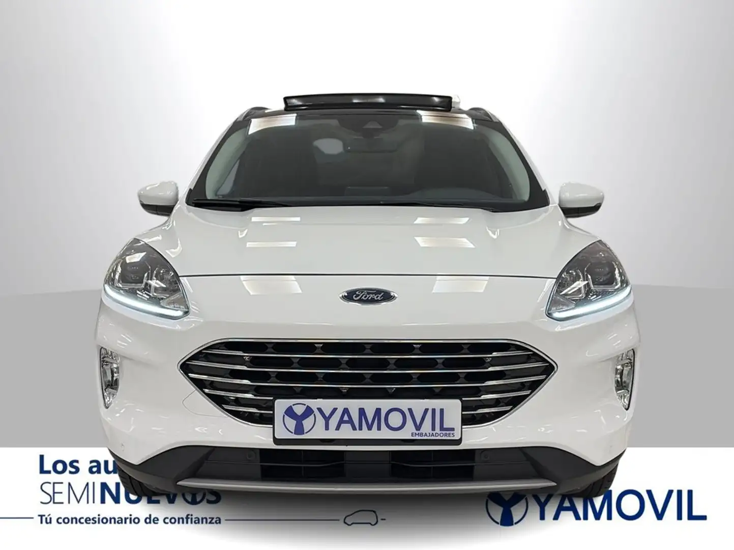 Ford Kuga 2.5 Duratec FHEV Titanium AWD Aut. Blanco - 2