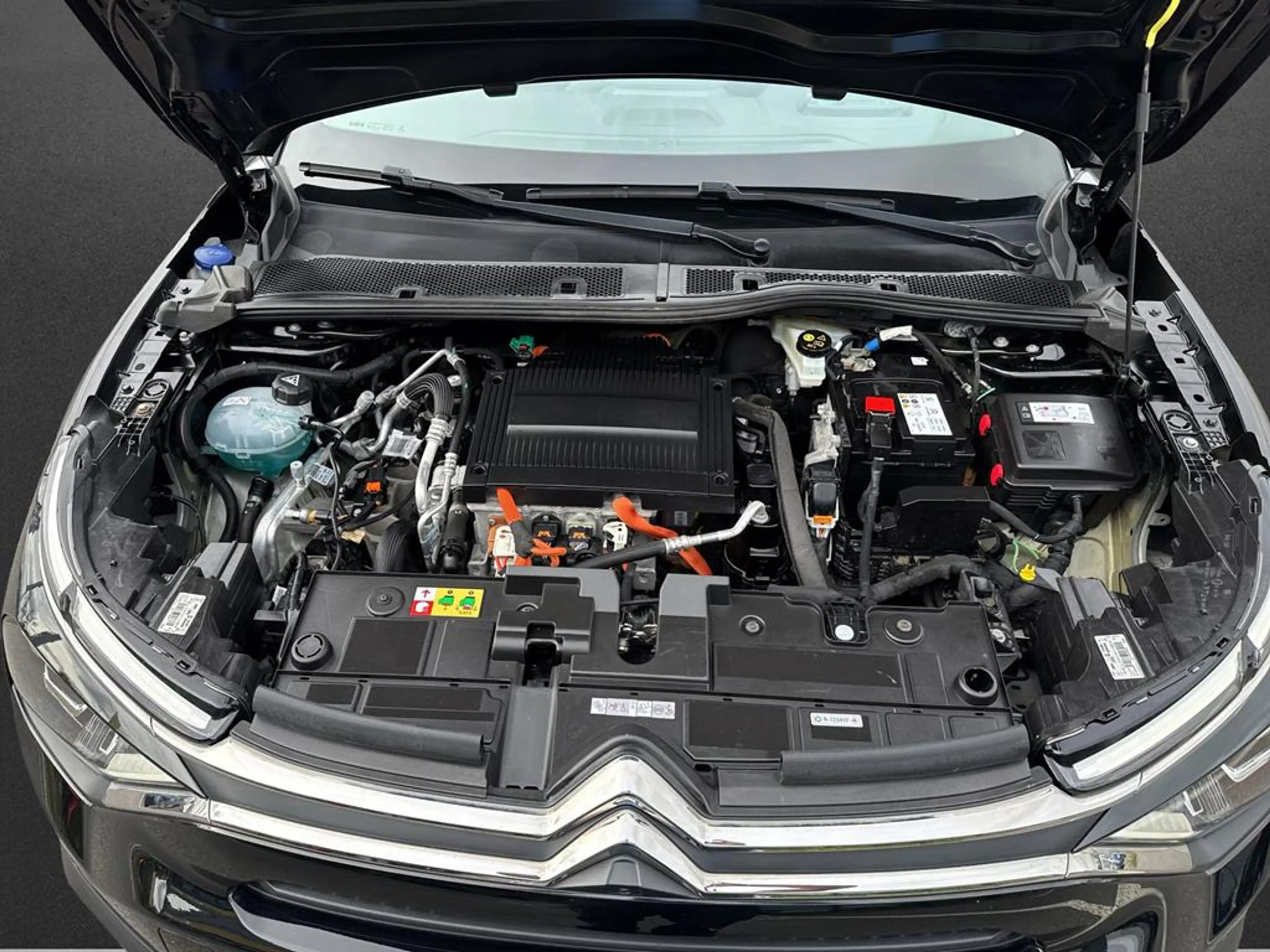 Citroen C4 e-C4 (136 PS) Shine — photo 10