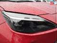 Toyota Yaris Cross 116h Dynamic MC24 Rosso - thumbnail 13