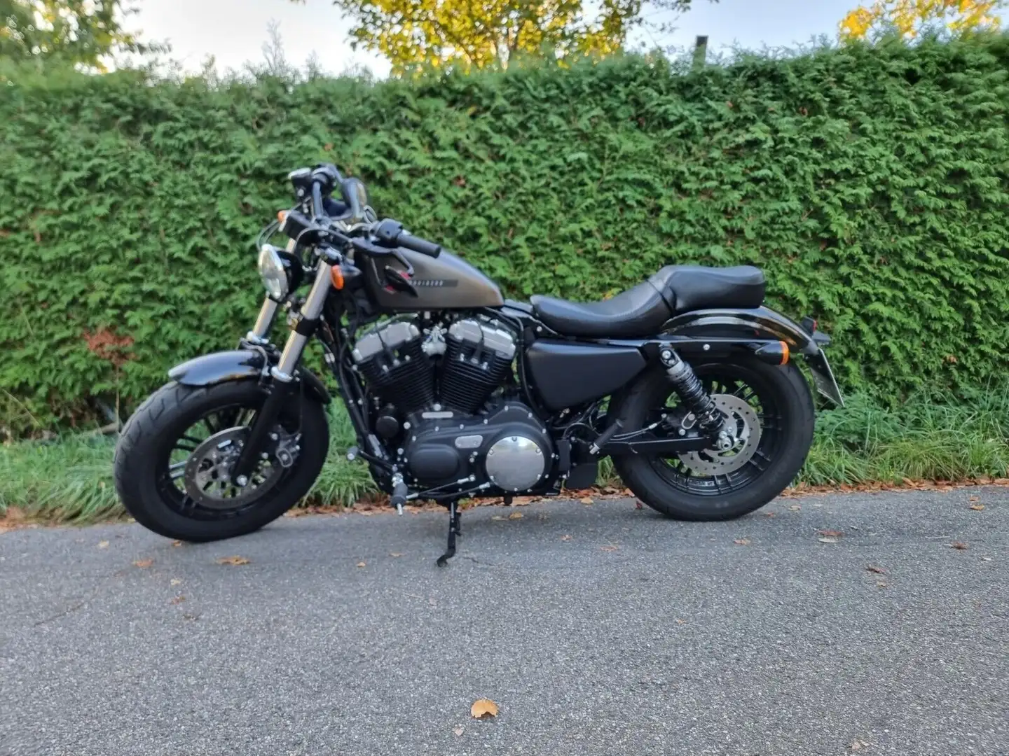 Harley-Davidson XL 1200 Forty-Eight Grau - 2