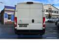 Citroen Jumper 30 L2H2 Control BlueHDi 120 S&S*RFK*BT* Weiß - thumbnail 19