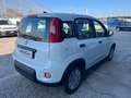 Fiat Panda 1.0 FireFly S&S Hybrid Pandina Weiß - thumbnail 4