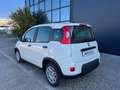 Fiat Panda 1.0 FireFly S&S Hybrid Pandina Weiß - thumbnail 3