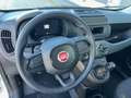 Fiat Panda 1.0 FireFly S&S Hybrid Pandina Weiß - thumbnail 5