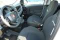 Fiat Panda 1.0 FireFly S&S Hybrid Pandina Weiß - thumbnail 12