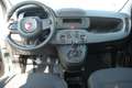 Fiat Panda 1.0 FireFly S&S Hybrid Pandina Weiß - thumbnail 13