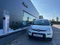 Fiat Panda 1.0 FireFly S&S Hybrid Pandina Weiß - thumbnail 2