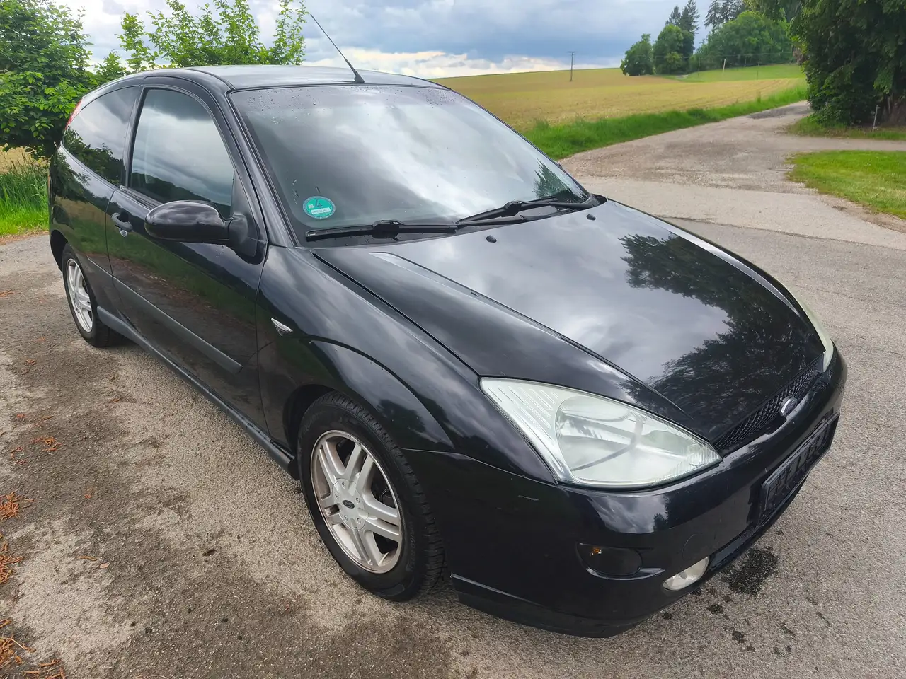 Ford Focus Basis, foto 5