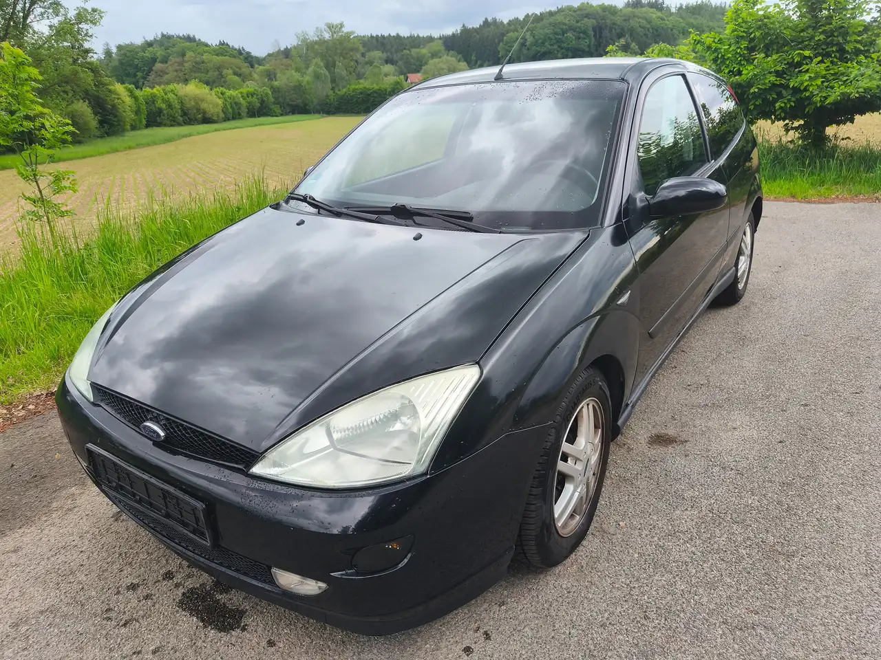 Ford Focus Basis, foto 7