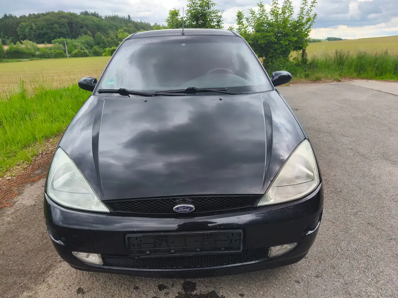 Ford Focus Basis, foto 6